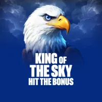 King of the Sky: Hit the Bonus
